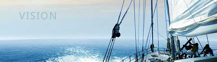 1532679443807061.jpg item_vision.jpg